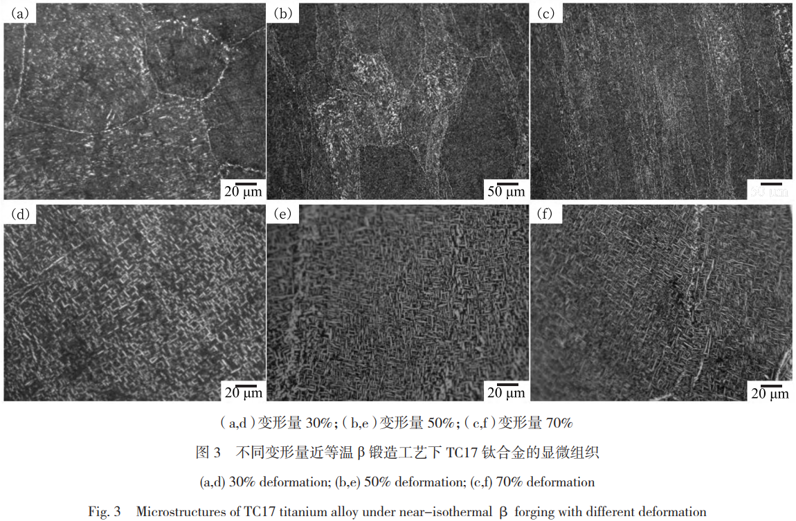 1768881159817021.png 3.png