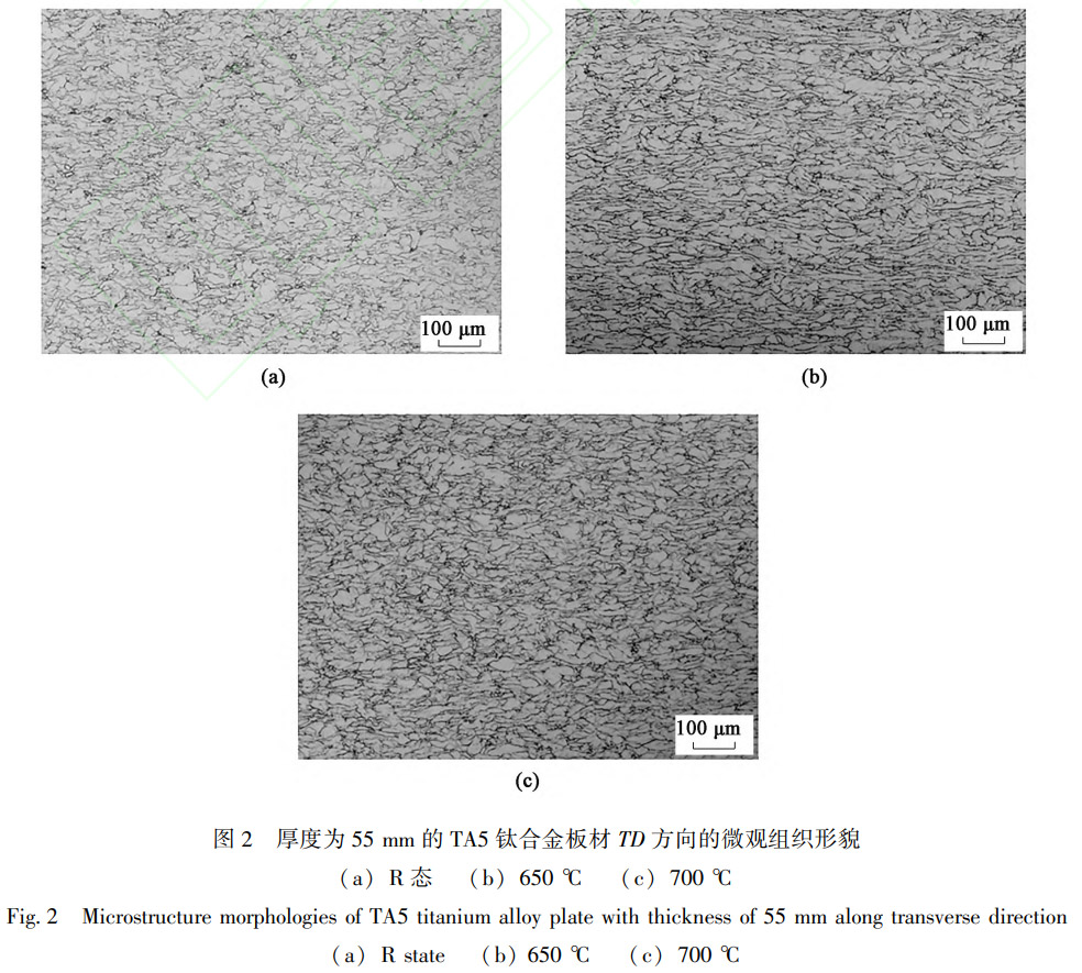 1769346336572336.jpg 2.jpg